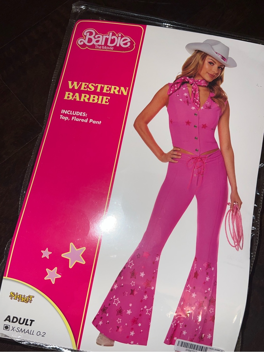 Barbie Pink Western Flare costume